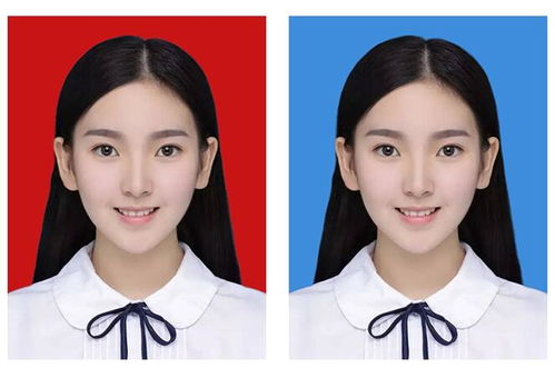 证件照宠物狗怎么拍好看
