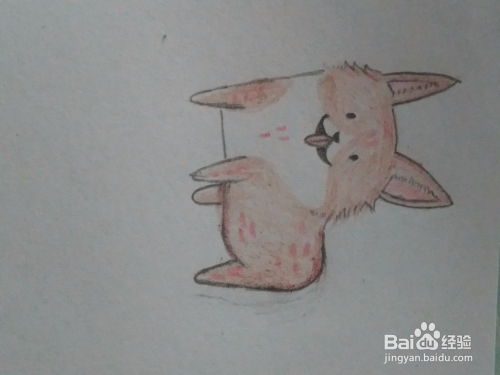 用纸片画宠物狗怎么画好看