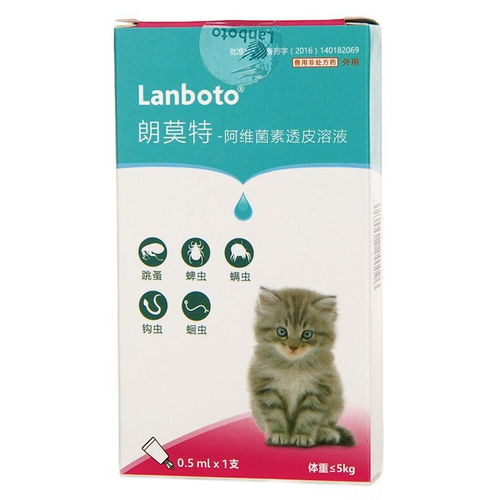 宠物猫体外驱虫怎么用药