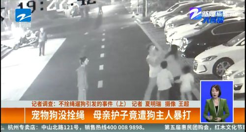 孩子殴打宠物狗怎么办啊