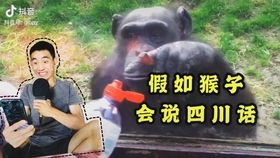 用四川话怎么说宠物狗呢