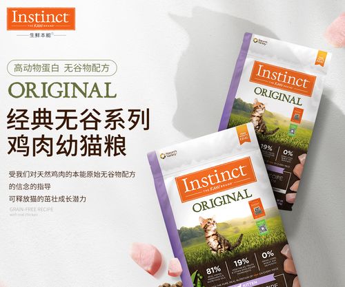 宠物猫粮怎么营销