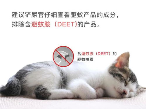 宠物猫狗蚊香怎么用