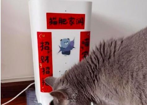 遗弃宠物狗会怎么样呢