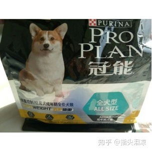北京狗绝育多少钱