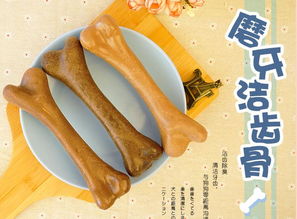 宠物狗怎么选零食品种