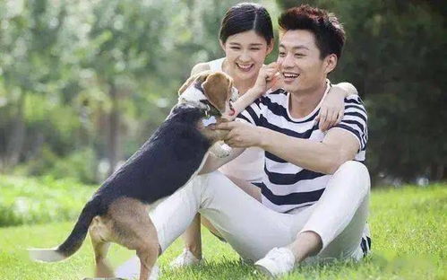 老婆养个宠物狗怎么办呀