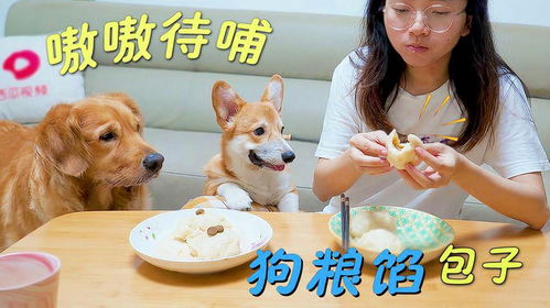 给狗狗做宠物狗粮怎么做