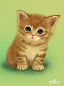 宠物猫怎么防止咬伤