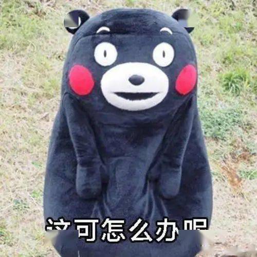 疫情封控宠物狗怎么办啊