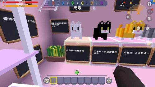 迷你世界怎么造宠物猫