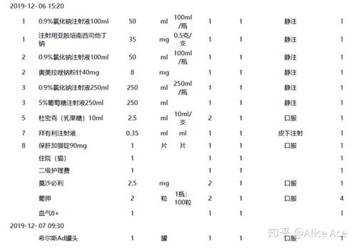 宠物猫胆囊炎怎么治