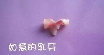 宠物狗牙齿松怎么办啊