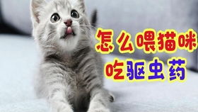 如何给小猫喂驱虫药