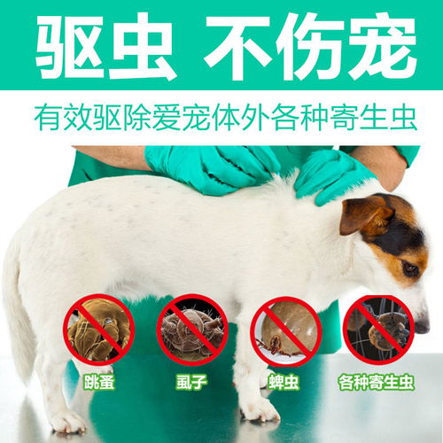 狗狗体外驱虫有哪些药