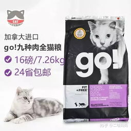 猫粮放猫盆多久换一次