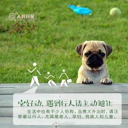 养狗的人应该具备哪些