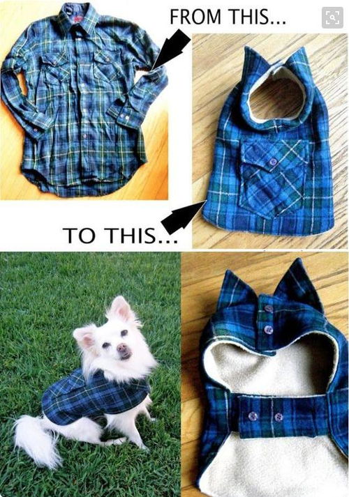 如何制做狗狗衣服