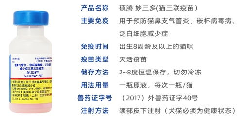 小猫多久打第一次疫苗