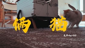 小猫多久学会跳跃