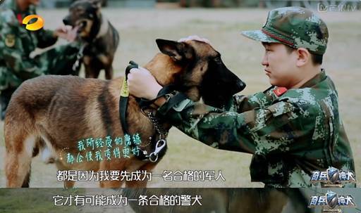 如何成为一名训犬师