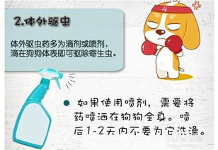 狗狗体外驱虫滴哪些地方