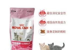 上海猫粮哪里买