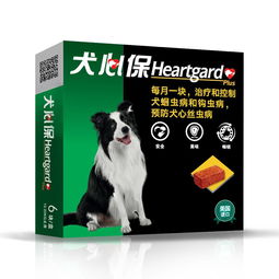 狗预防虫有哪些药
