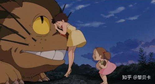 龙猫在哪里出现