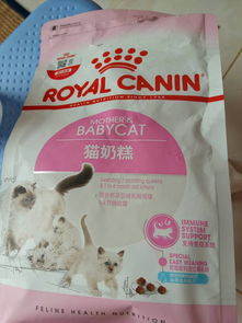 小猫猫粮泡水怎么样
