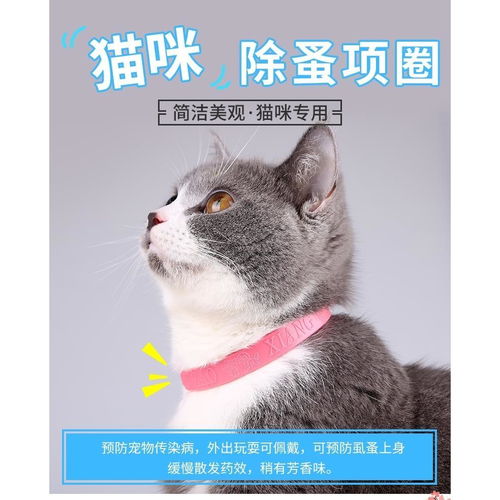 如何预防猫虱子