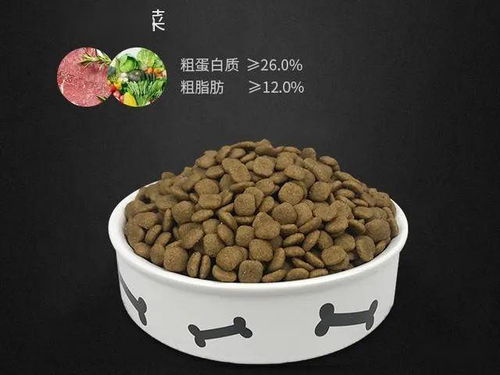 如何做狗粮省钱有营养