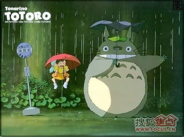 龙猫怀多久生宝宝