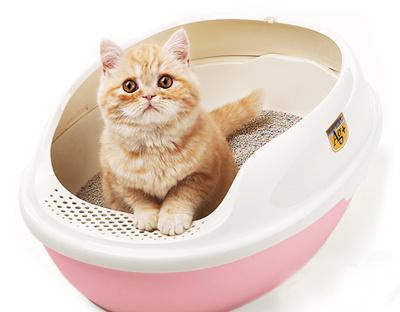 仓鼠猫砂多久换一次