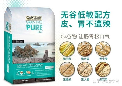 在哪里买猫粮