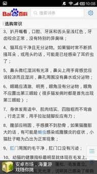 茶杯猫寿命有多久