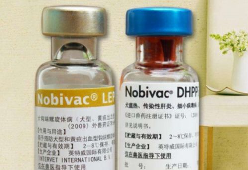 进口狗疫苗保质期多久