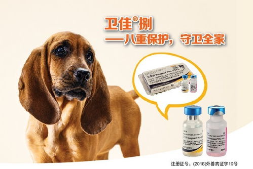 狗疫苗哪个牌子好
