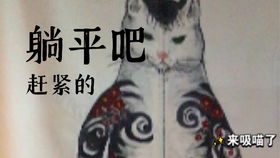 两个月的猫一天睡多久