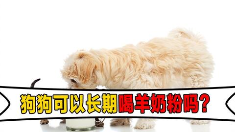 幼犬喝多久羊奶粉