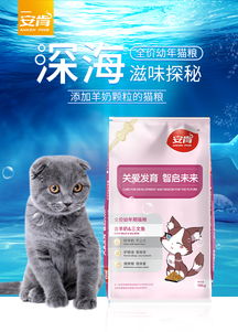 猫粮哪里有卖啊