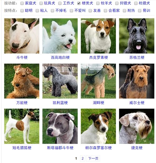 梗类犬所有品种有哪些