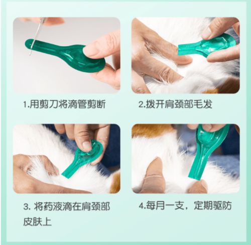 幼犬多久体外驱虫一次