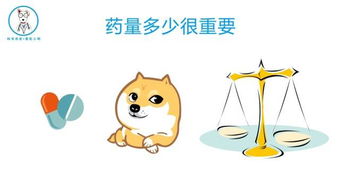 狗狗体内驱虫药多久吃一次