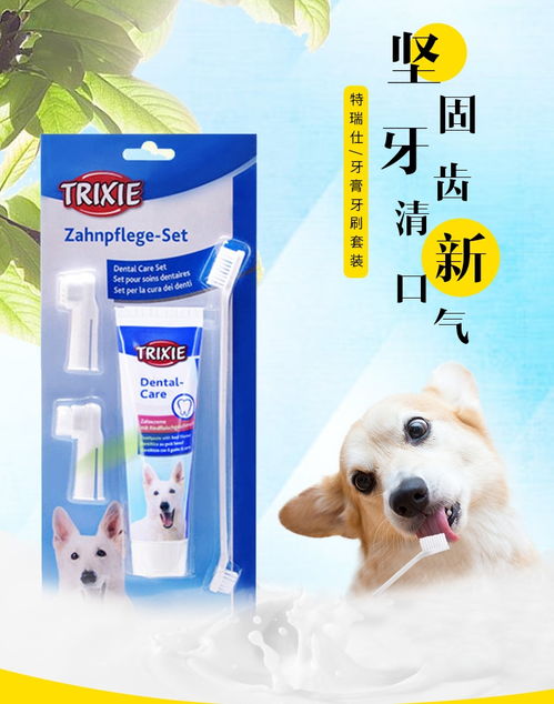 如何自制狗狗牙膏