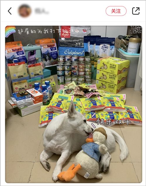 卖狗粮利润如何