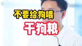 金毛幼犬狗粮要泡多久