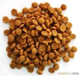 如何鉴别狗粮