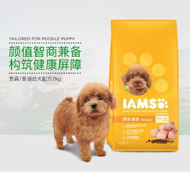 泰迪幼犬粮哪个好