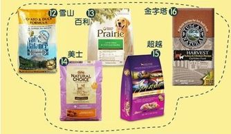 狗粮哪里买比较好